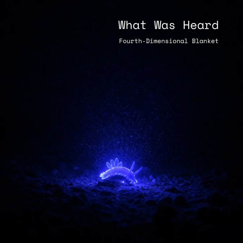 What Was Heard cover art — a bioluminescent sea slug glowing violet-blue on a dark seafloor, lit like a single lamp in deep water
